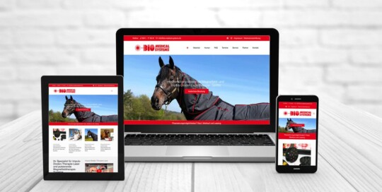 Professionelles Webdesign, Referenzen Bio-Medical-Systems