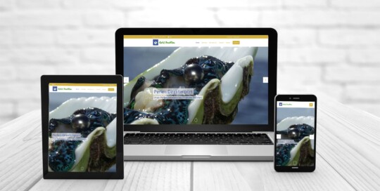 Professionelles Webdesign, Gold Pavillon Frankfurt