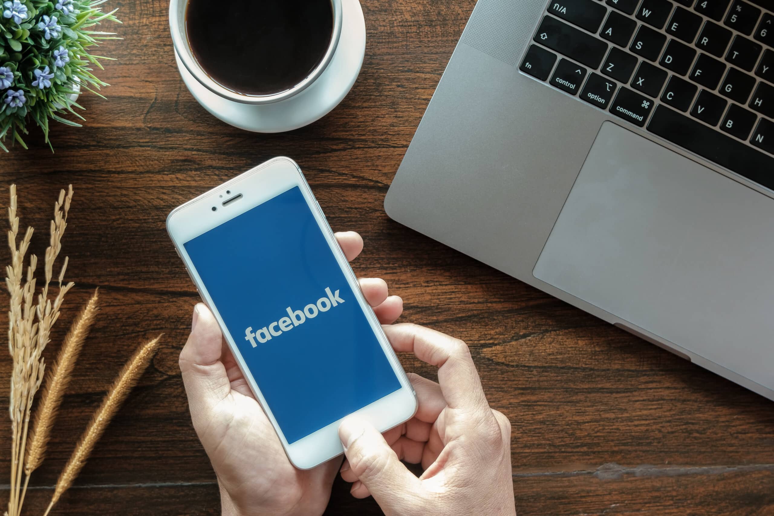 https://stock.adobe.com/de/images/chiang-mai-thailand-january-20-2019-male-holds-apple-iphone-6s-with-facebook-application-on-the-screen-facebook-is-a-photo-sharing-app-for-smartphones/309793718?prev_url=detail